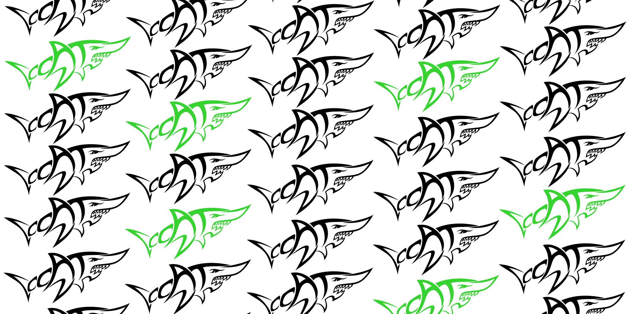 Clearfield City Aquatic Team Blueseventy usa